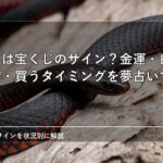 蛇の夢は宝くじのサイン？金運・白蛇・黒蛇・買うタイミングを夢占いで解説