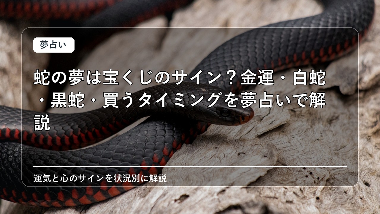 蛇の夢は宝くじのサイン？金運・白蛇・黒蛇・買うタイミングを夢占いで解説